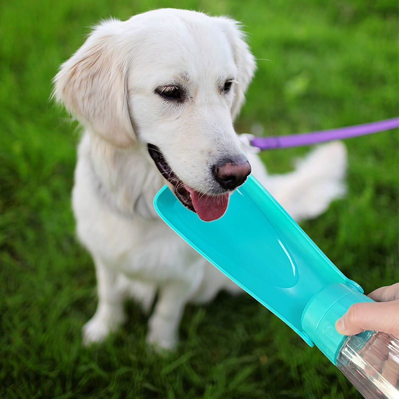 Wholesale 550ml Outdoor Foldable Cat Pet Dog Water Bottle Portable