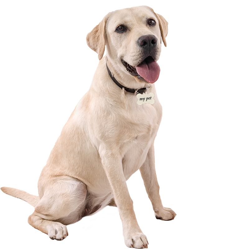 Manufacturer wholesale custom logo name dog id tag