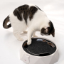 Manufacturer wholesale electric smart cat round toy with mouse
