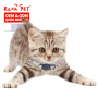 Manufacturer Wholesale Multi-Pattern Adjustable Cheap Cat Accessories Collar