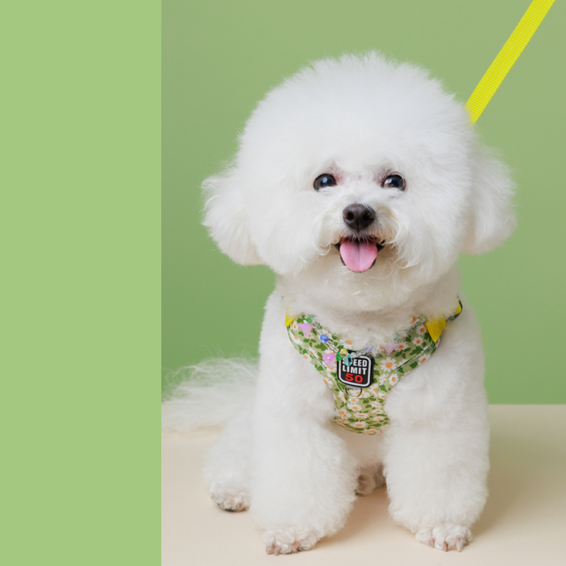Manufacturer Wholesale Flower Design Breathable Mesh Small Dog Harness and Leash