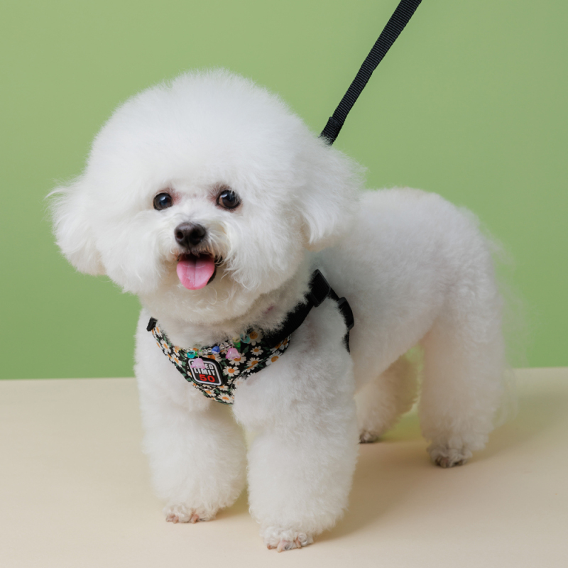 Manufacturer Wholesale Flower Design Breathable Mesh Small Dog Harness and Leash