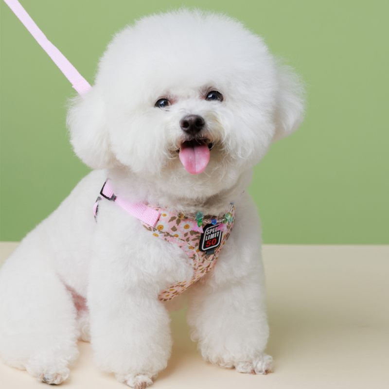 Manufacturer Wholesale Flower Design Breathable Mesh Small Dog Harness and Leash