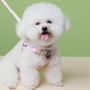 Manufacturer Wholesale Flower Design Breathable Mesh Small Dog Harness and Leash