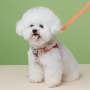 Manufacturer Wholesale Flower Design Breathable Mesh Small Dog Harness and Leash