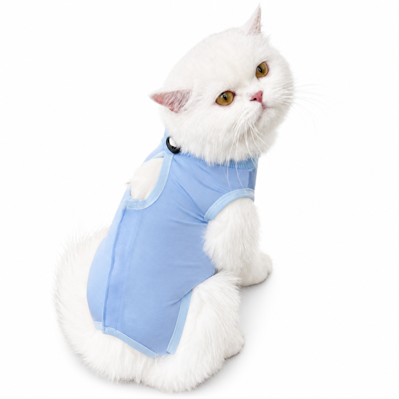 Wholesale Blue Pink Yellow Purple Green Cat Recovery Suit