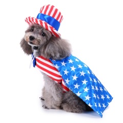 manufacturer wholesale cute dog clothes pet halloween costume