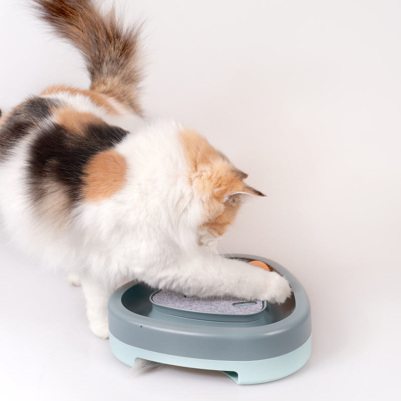 Manufacturer wholesale electric ABS cat triangle turntable toy