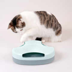 Manufacturer wholesale electric ABS cat triangle turntable toy