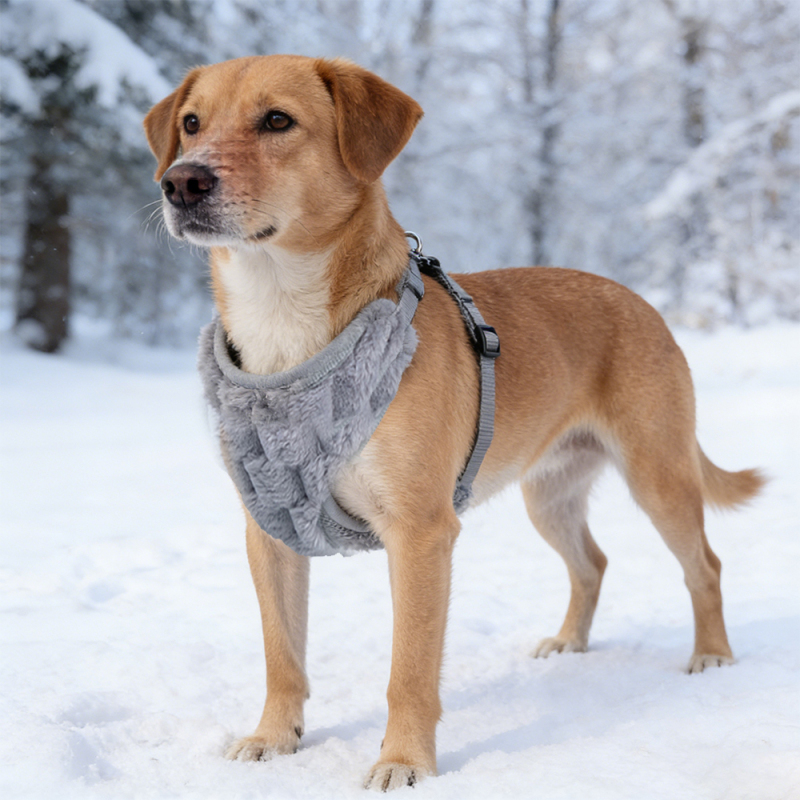Wholesale Custom Logo Pet Product Warm Dog Plush Harness