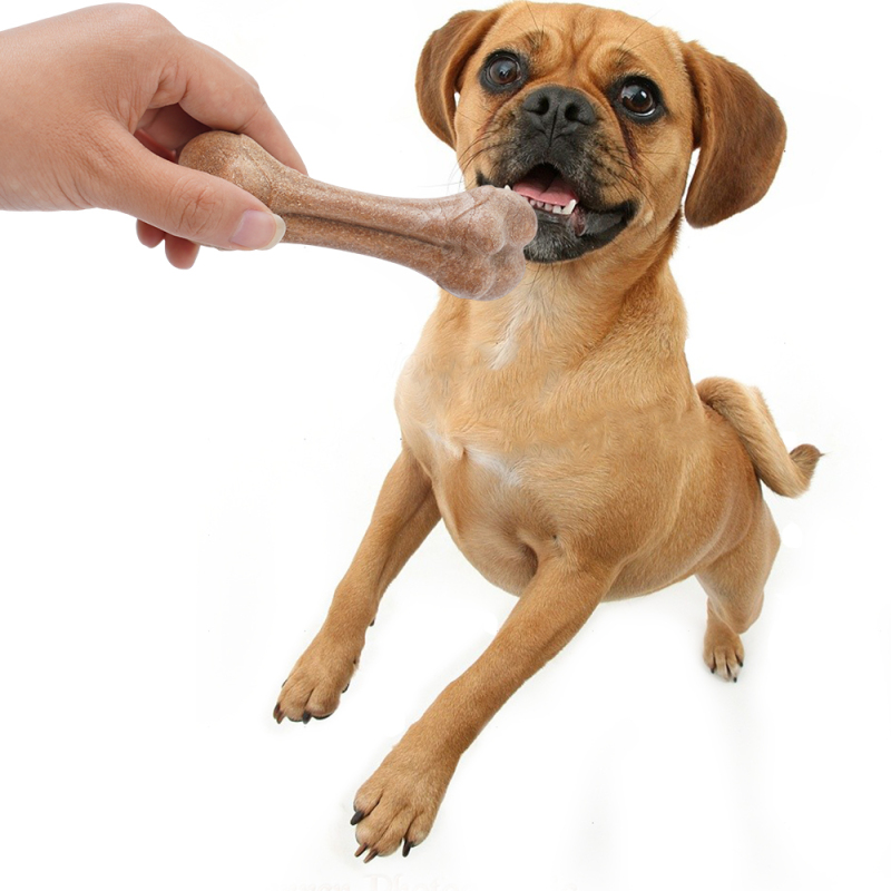 Wholesale Plastic Clean Teeth Durable Chew Branch Dog Bone Toy