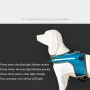 Manufacturer wholesale outdoor breathable led dog harness blue green