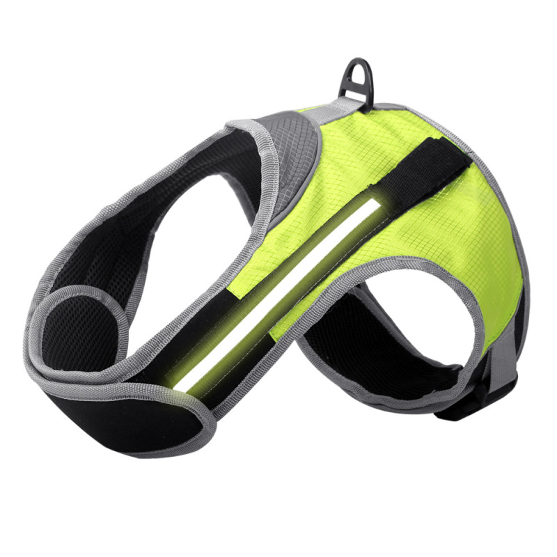 Manufacturer wholesale outdoor breathable led dog harness blue green