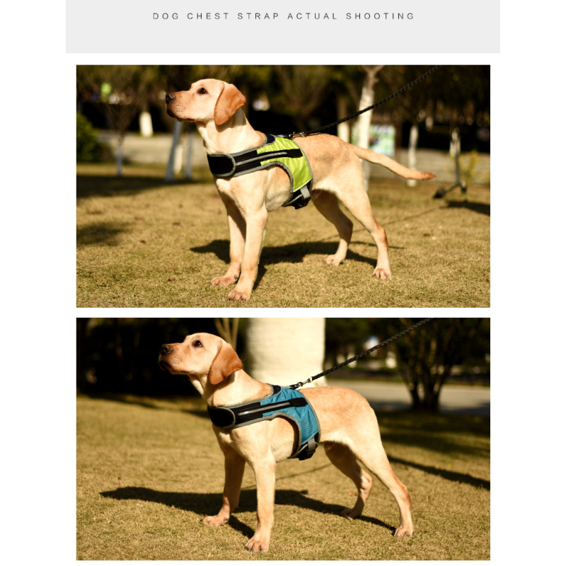 Manufacturer wholesale outdoor breathable led dog harness blue green