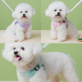 Manufacturer Wholesale Suede Small Dog Harness and Leash