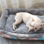 Manufacturer Wholesale Custom Logo Plush Comfortable Cat Dog Bed Calming