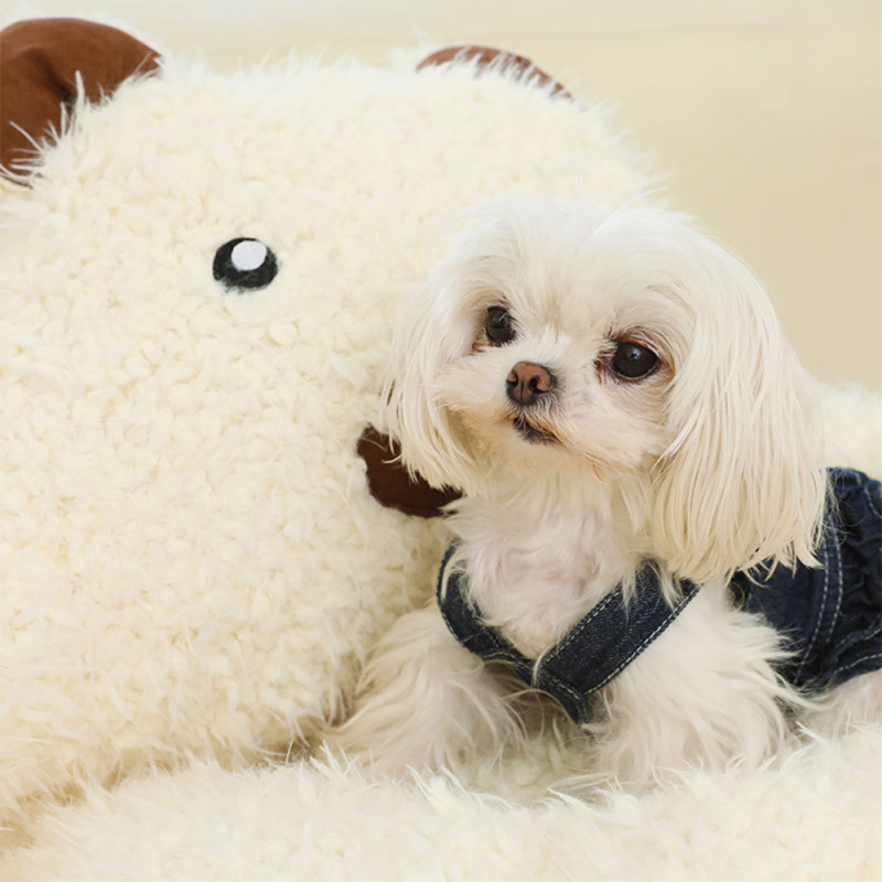 Manufacturer Wholesale Custom logo Plush Dog Sofa Bed
