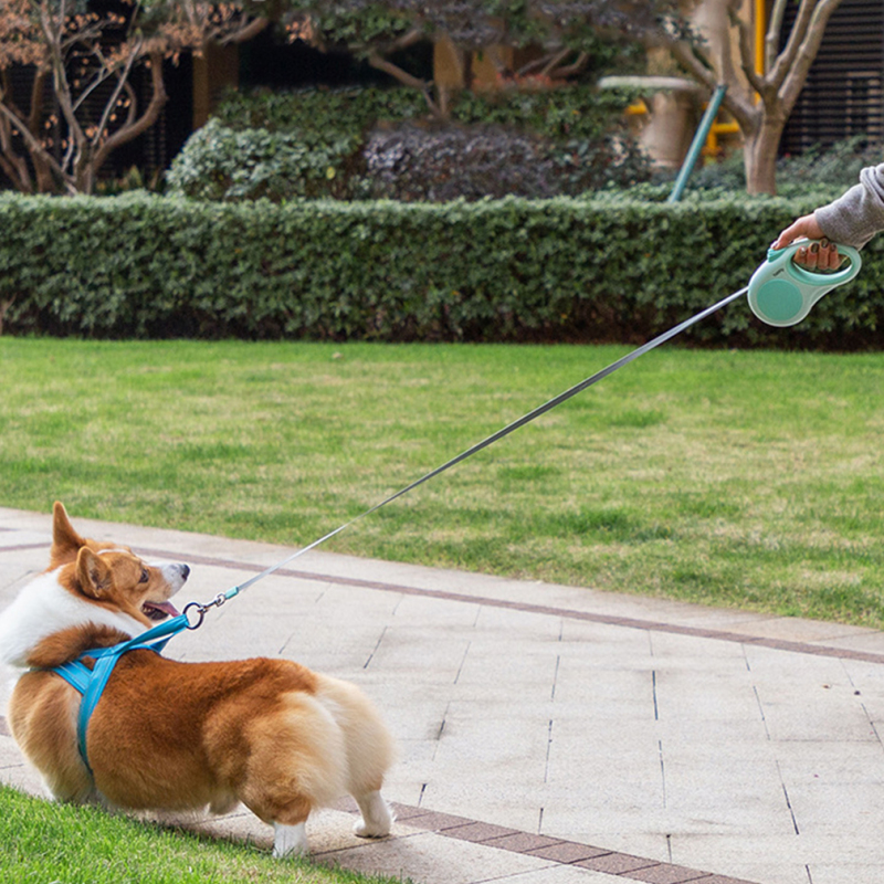 Wholesale 3M 5M Outdoor Pet Supplier Retractable Dog Leash