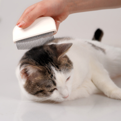 Manufacturer wholesale pink green white grooming tool cat comb