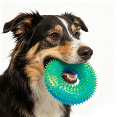 Wholesale Round Chew Pet Products Dog Tpr Toy
