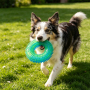 Wholesale Round Chew Pet Products Dog Tpr Toy