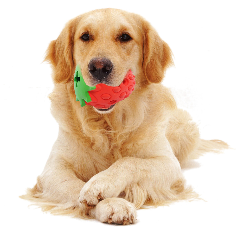 Wholesale Chew Strawberry Dragon Fruit Design Dog Rubber Toy