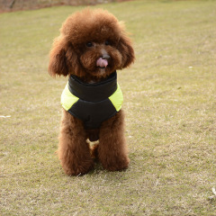 Manufacturer wholesale designer multi-colors warm cotton stuffed pet dog coat winter