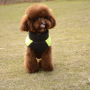 Manufacturer wholesale designer multi-colors warm cotton stuffed pet dog coat winter