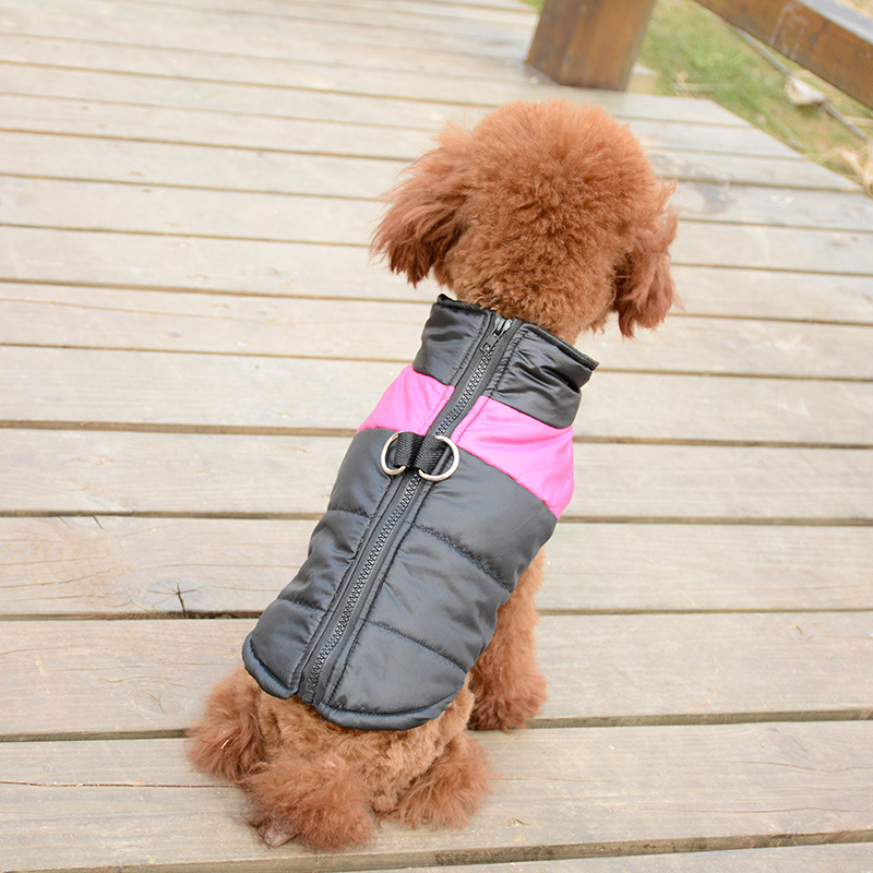 Manufacturer wholesale designer multi-colors warm cotton stuffed pet dog coat winter