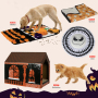 Manufacturer wholesale custom design cat helloween house