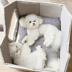 Manufacturer wholesale warm short plush detachable cat house