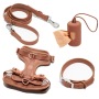 Wholesale Custom Logo Poop Bag Holder Dog Collar Leash and Harness Set