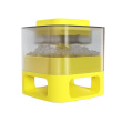 square yellow