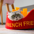 french fries design