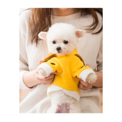 Manufacturer wholesale cute lion design short plush dog hoodie winter