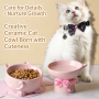 Wholesale Ceramic 15 Degree Inclined Cat Bowls