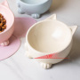 Wholesale Ceramic 15 Degree Inclined Cat Bowls
