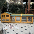 design 12