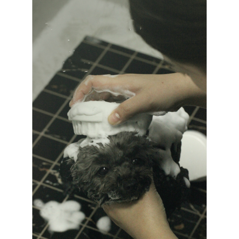 Manufacturer wholesale pink blue white grooming dog bath brush