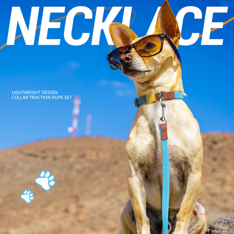 Wholesale Nylon Leather Adjustable Dog Collars and Leads