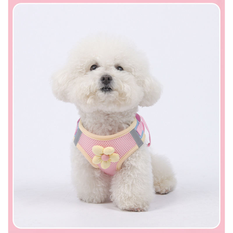 Wholesale Cheap Spring Breathable Cat Small Dog Harness and Leash