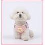 Wholesale Cheap Spring Breathable Cat Small Dog Harness and Leash