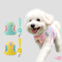 Wholesale Cheap Spring Breathable Cat Small Dog Harness and Leash