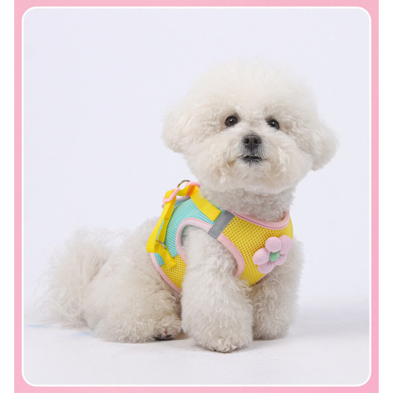 Wholesale Cheap Spring Breathable Cat Small Dog Harness and Leash