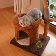 Wholesale Luxury Short Plush Cat Tree Solid Wood