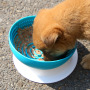 Manufacturer wholesale foldable washing soft silicone dog slow feeder lick bowl with base