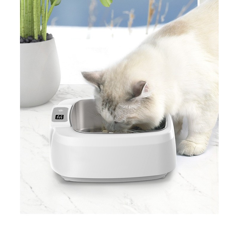 Wholesale Stainless Steel Washable Pet Cat Dog Heating Bowl
