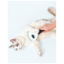 Manufacturer wholesale ABS fine thick needle cat pet brush with a button