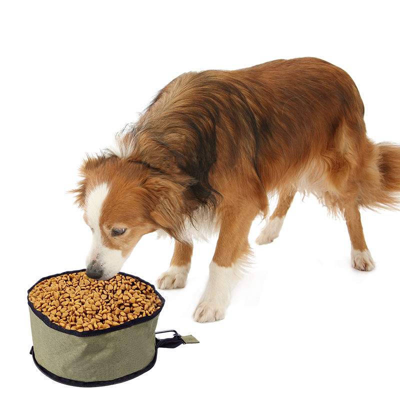 Manufacturer wholesale foldable carrier outdoor dog travel bowl
