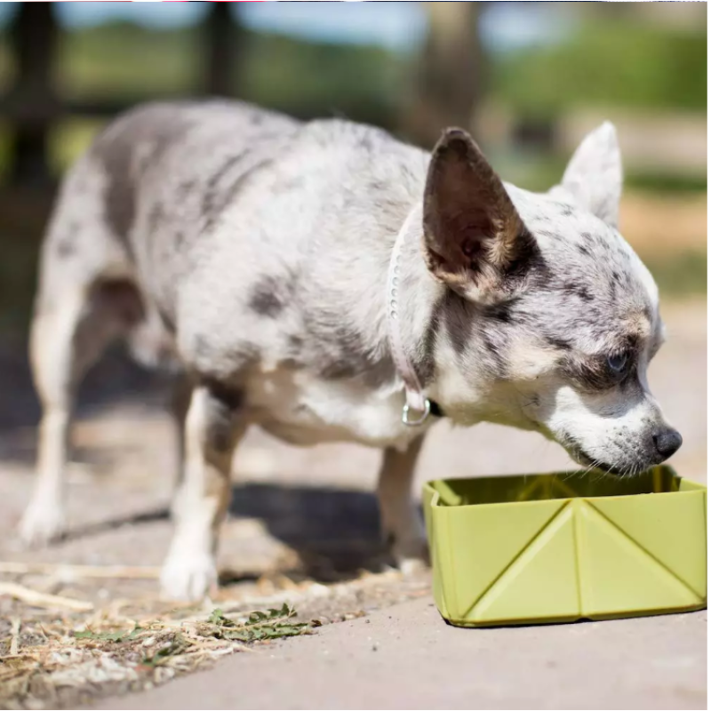 Manufacturer Wholesale Portable Silicone Collapsible Dog Travel Bowl